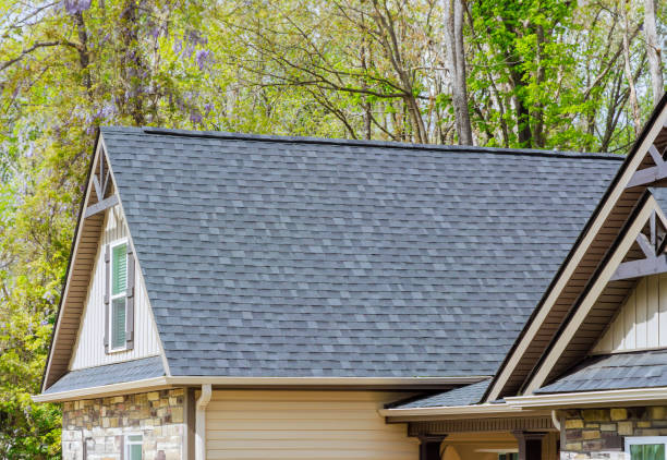 Best Roof Maintenance and Cleaning  in Union, KY